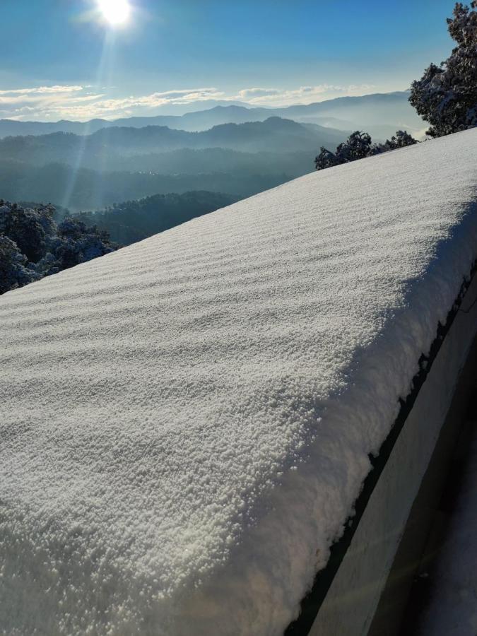 Residence Inn Homestay Shimla Zewnętrze zdjęcie