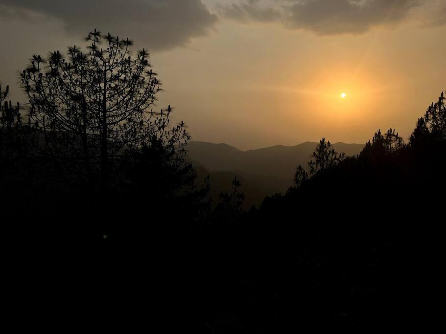 Residence Inn Homestay Shimla Zewnętrze zdjęcie