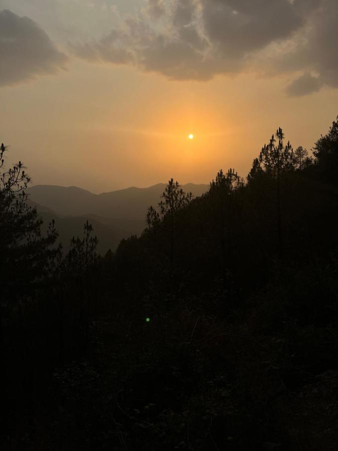 Residence Inn Homestay Shimla Zewnętrze zdjęcie