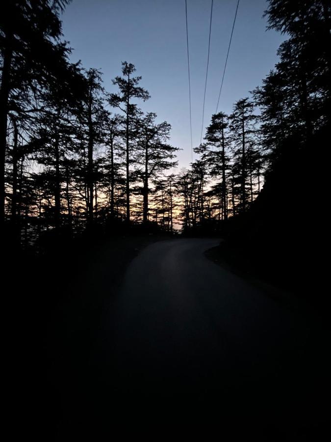 Residence Inn Homestay Shimla Zewnętrze zdjęcie